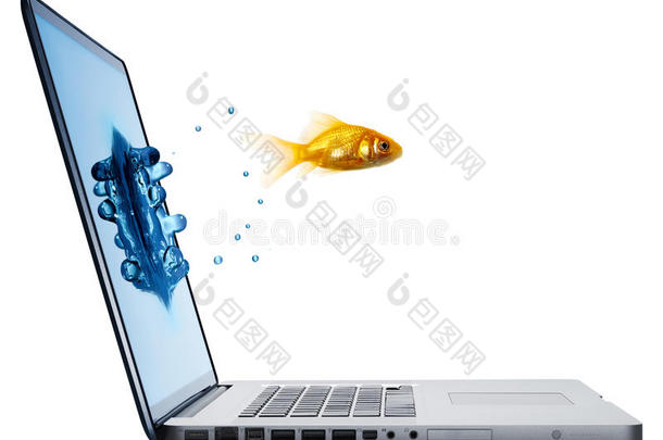 金鱼从笔记本电脑里跳出来