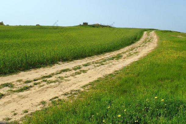 青山绿草间<strong>的乡间小路</strong>