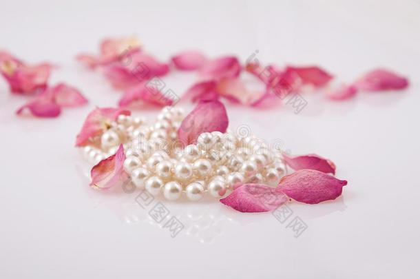 珍珠珠和红玫瑰花瓣
