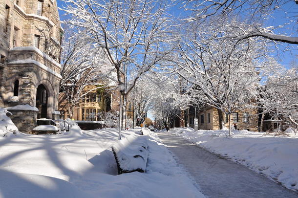 2010年4月下雪