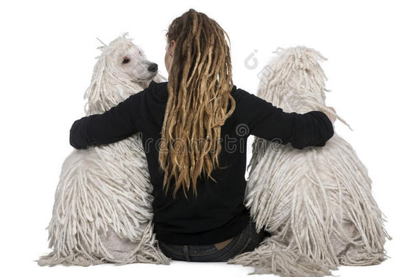 两条白绳标准贵宾犬和一个女孩
