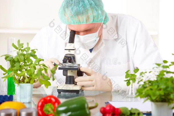 用显微镜观察<strong>转基因蔬菜</strong>的研究人员