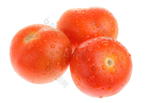 三个成熟的<strong>白露</strong>番茄