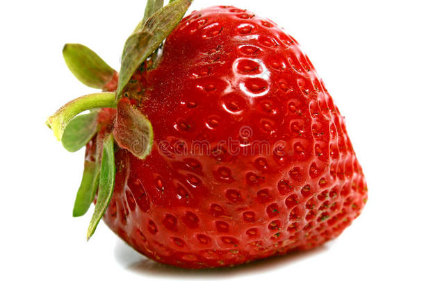 草莓<strong>熟了</strong>