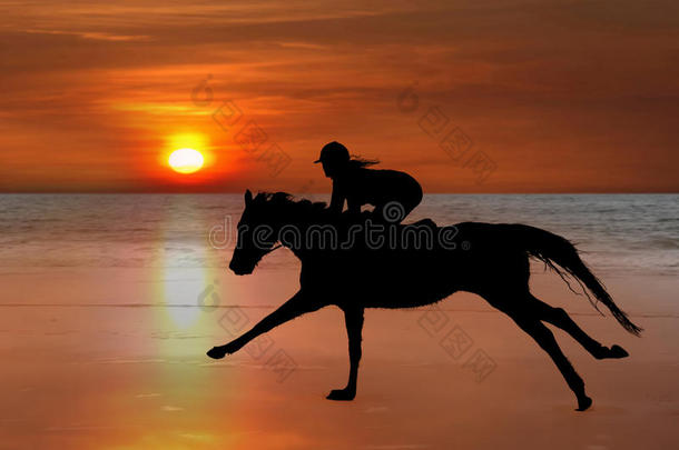 海滩上飞驰的马和骑手的轮廓