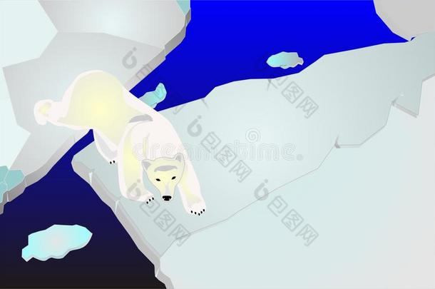 北极熊在<strong>冰袋</strong>上行走的插图