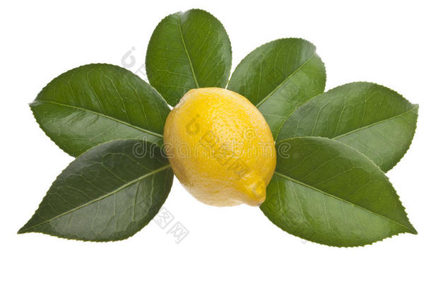 天然柠檬<strong>清洁剂</strong>
