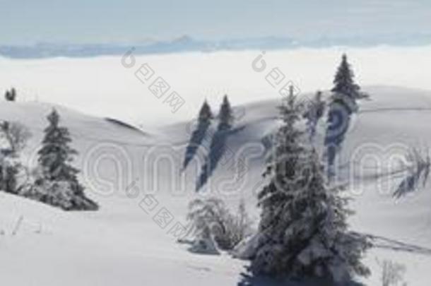 雪山全景图