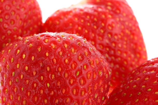 细致多汁的成熟草莓，白色隔离
