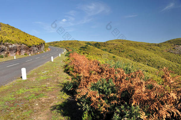 马德拉自然公园<strong>高原公路</strong>，制造