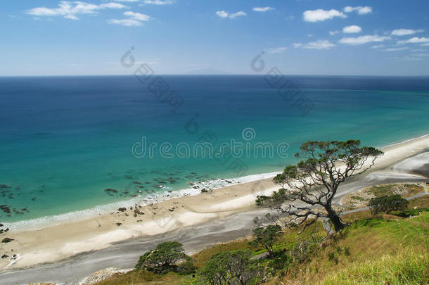 芒果海海滩