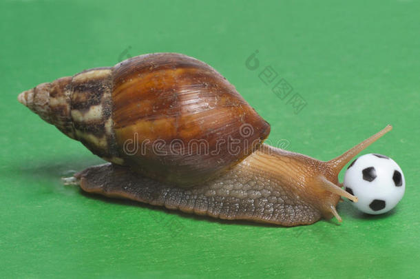 蜗牛踢足球