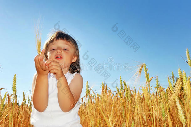 麦田里拿着麦子的小女孩