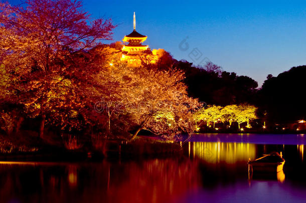 日本寺庙与日本园林夜景