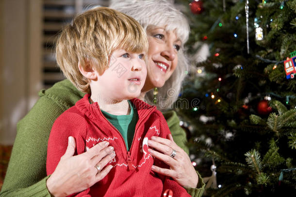 在圣诞树旁祖母膝上的男孩
