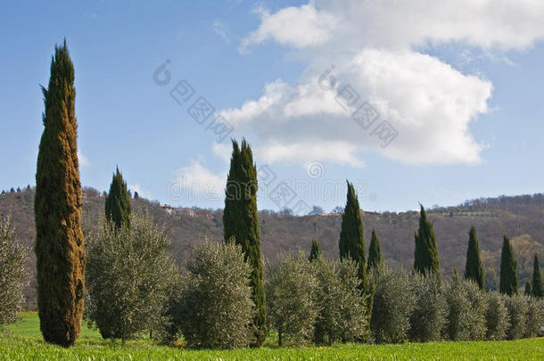 tuscany idyl