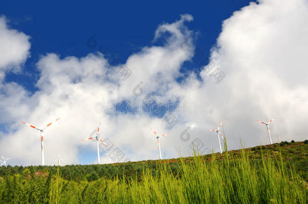 风电涡轮机-保罗·德塞拉，马德拉