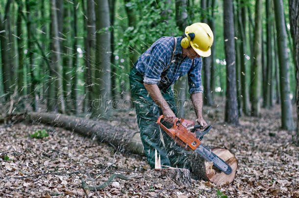 树林里的伐木工人