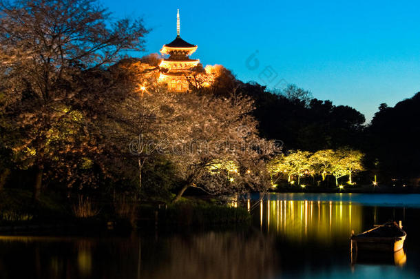 日本寺庙与日本园林夜景