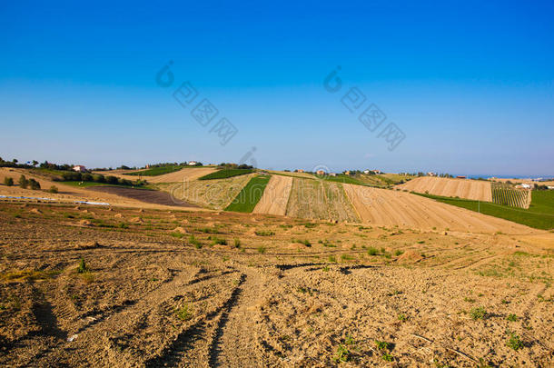 意大利炎热夏日的干燥丘陵景观