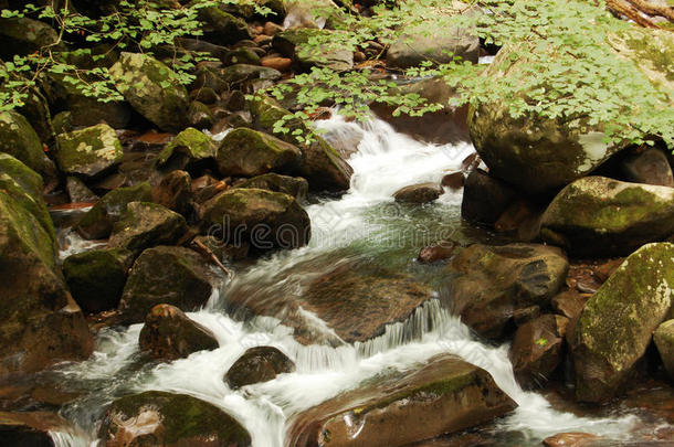 烟雾缭绕的山水流过岩石