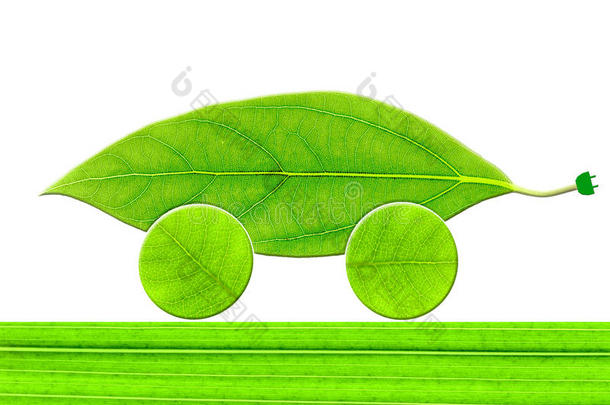 leaf生态车