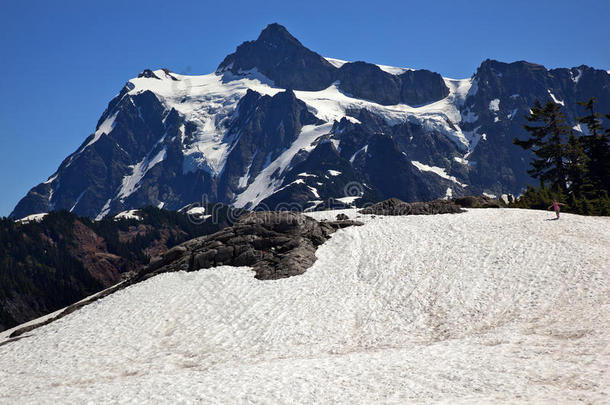 华盛顿舒克山雪原