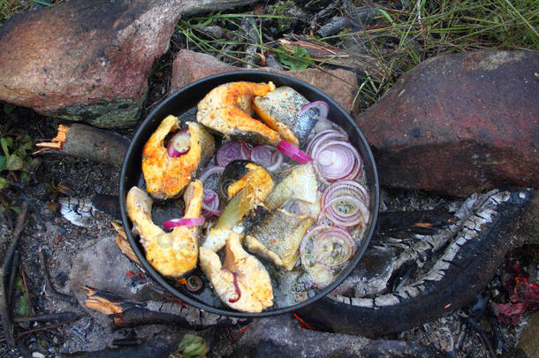 篝火食物：烤鳟鱼和洋葱