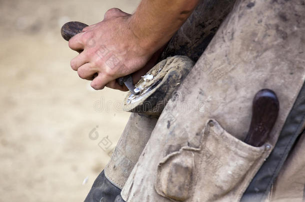 farrier<strong>刮削</strong>