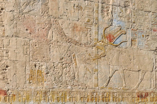 法老庙墙上的象形文字
