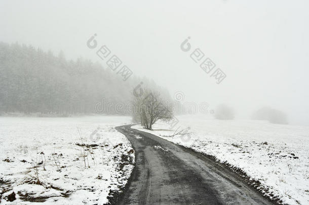 冬季雪景