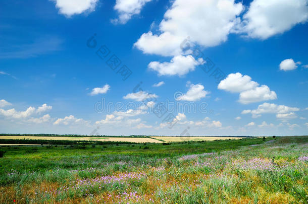 夏日美景