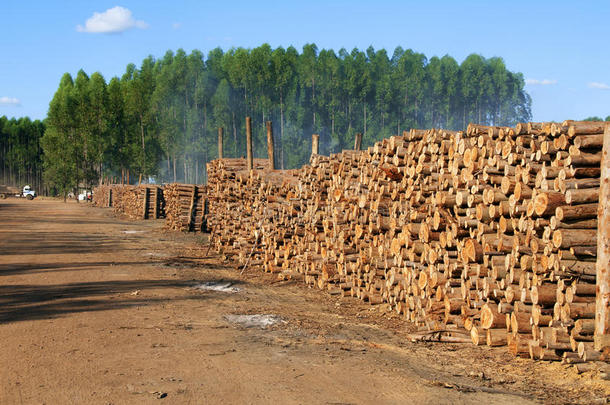 <strong>木炭</strong>生产用木材