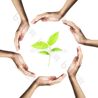 绿色植物被白色的手包围图片