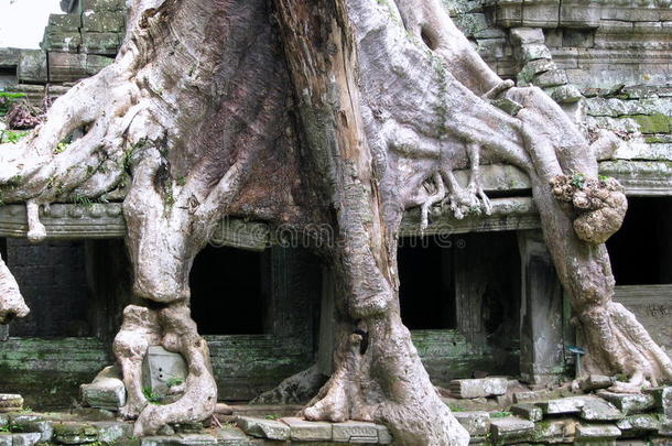 柬埔寨的城堡岩