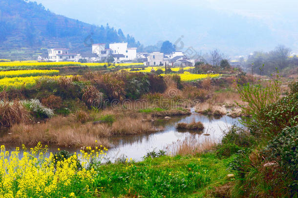 乡村风光