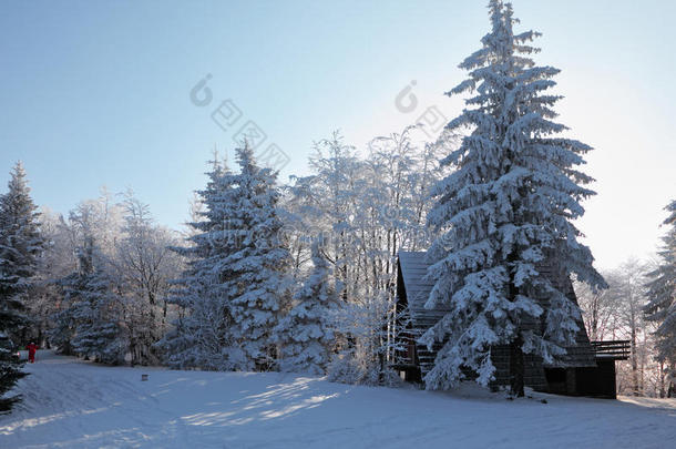 蓝色小屋木屋圣诞节气候