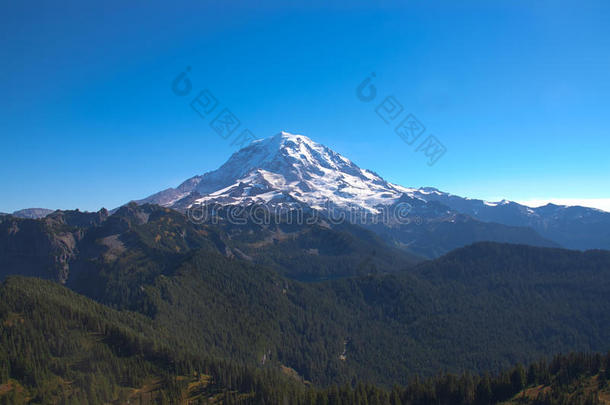 丰富多彩的国家领域森林风景