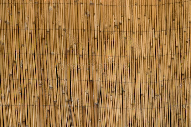 竹栅栏背景