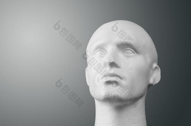 聚苯乙烯人体模型头像