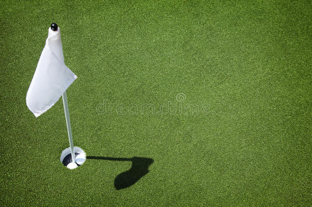 高尔夫球场绿洞和旗子