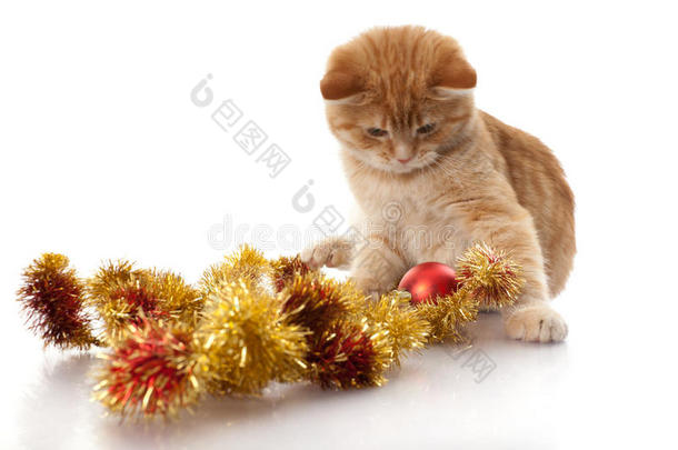 小猫和圣诞装饰品