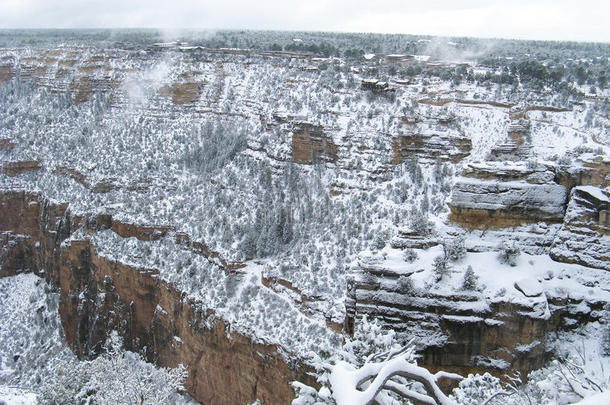 大峡谷的雪