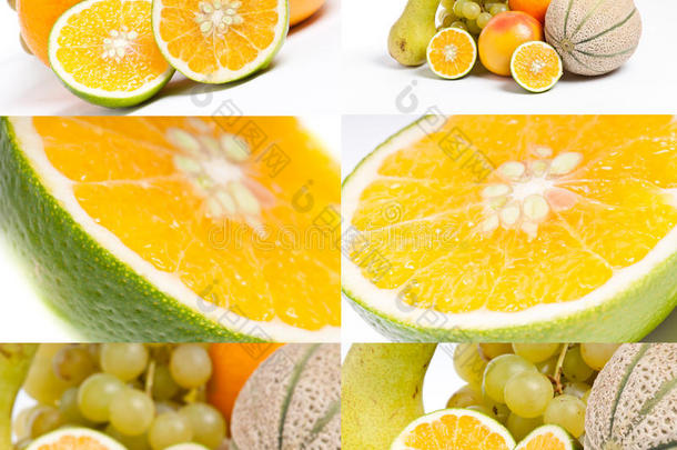 各种水果和柑橘的成分
