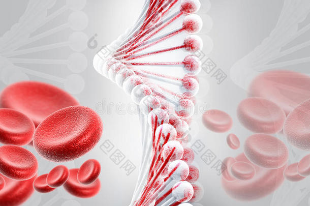 带血细胞的dna