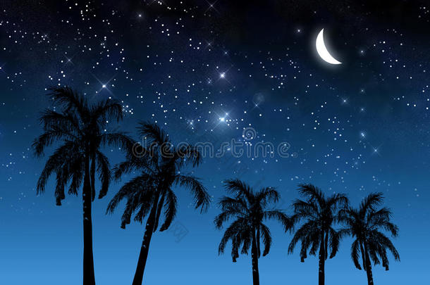 椰树和星星