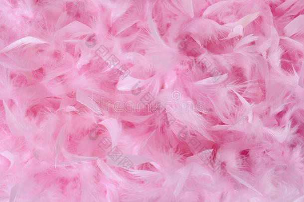 粉色小羽毛堆|纹理