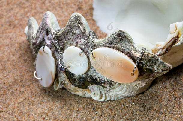 有珍珠珠的奇异海贝躺在沙滩上