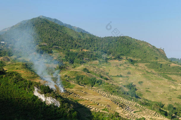 越南乡村风光