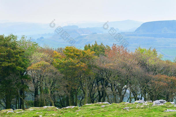 高峰区秋季景观